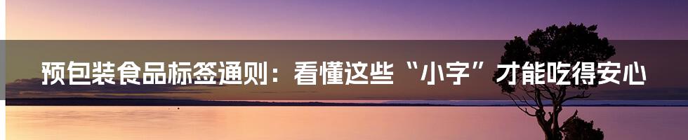 预包装食品标签通则：看懂这些“小字”才能吃得安心