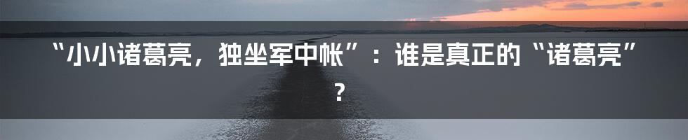 “小小诸葛亮,独坐军中帐”:谁是真正的“诸葛亮”?