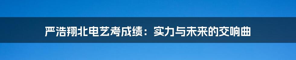 严浩翔北电艺考成绩:实力与未来的交响曲