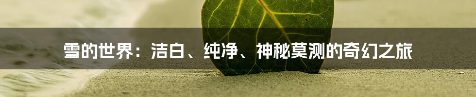 雪的世界:洁白、纯净、神秘莫测的奇幻之旅