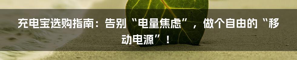 充电宝选购指南:告别“电量焦虑”,做个自由的“移动电源”!