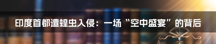 印度首都遭蝗虫入侵：一场“空中盛宴”的背后