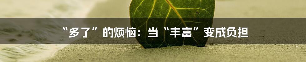 “多了”的烦恼：当“丰富”变成负担
