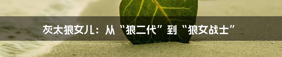 灰太狼女儿:从“狼二代”到“狼女战士”