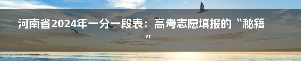 河南省2024年一分一段表:高考志愿填报的“秘籍”