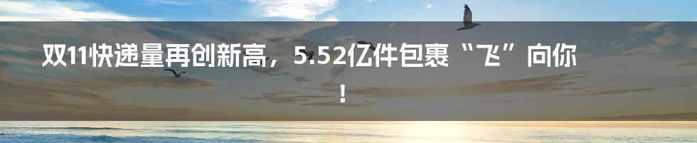 双11快递量再创新高,5.52亿件包裹“飞”向你!