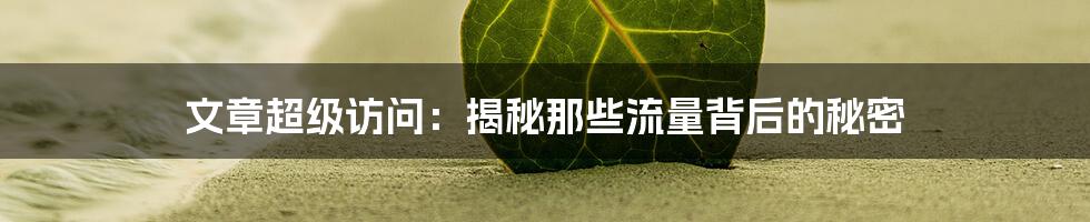 文章超级访问:揭秘那些流量背后的秘密