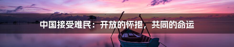 中国接受难民:开放的怀抱,共同的命运