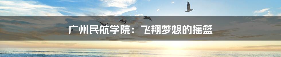 广州民航学院:飞翔梦想的摇篮