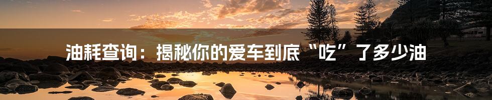油耗查询:揭秘你的爱车到底“吃”了多少油