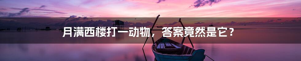 月满西楼打一动物,答案竟然是它?