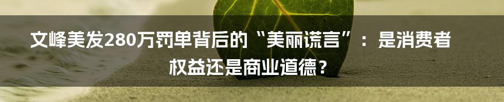 文峰美发280万罚单背后的“美丽谎言”：是消费者权益还是商业道德？