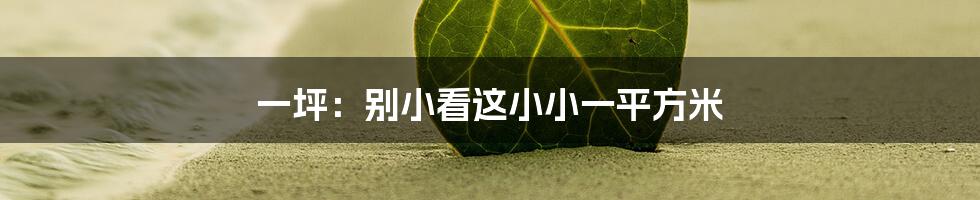一坪：别小看这小小一平方米