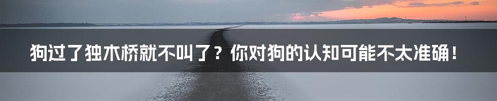 狗过了独木桥就不叫了？你对狗的认知可能不太准确！