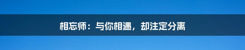 相忘师:与你相遇,却注定分离
