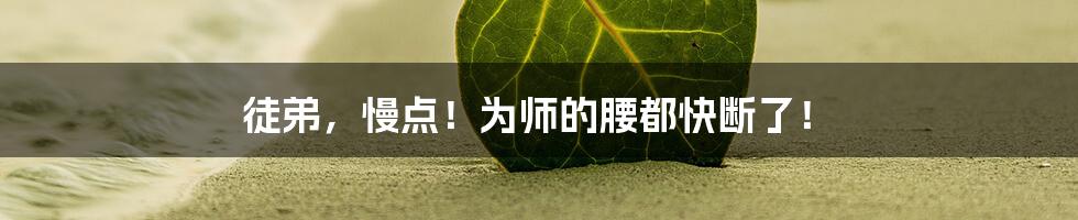 徒弟,慢点!为师的腰都快断了!