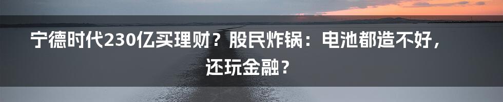 宁德时代230亿买理财?股民炸锅:电池都造不好,还玩金融?