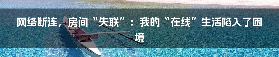 网络断连,房间“失联”:我的“在线”生活陷入了困境