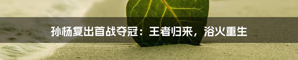 孙杨复出首战夺冠:王者归来,浴火重生