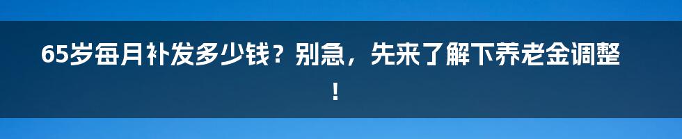 65岁每月补发多少钱?别急,先来了解下养老金调整!