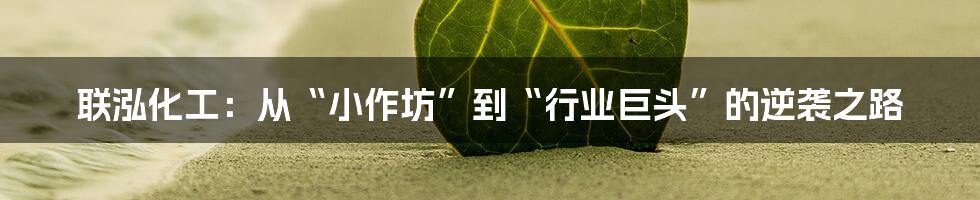联泓化工：从“小作坊”到“行业巨头”的逆袭之路