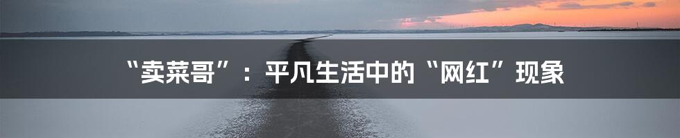 “卖菜哥”:平凡生活中的“网红”现象