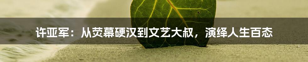 许亚军:从荧幕硬汉到文艺大叔,演绎人生百态