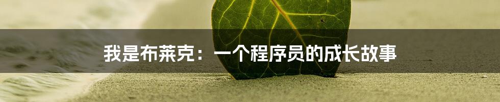 我是布莱克:一个程序员的成长故事