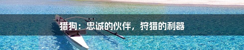 猎狗:忠诚的伙伴,狩猎的利器