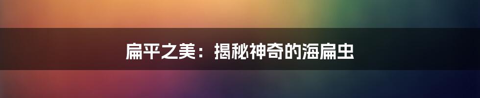扁平之美:揭秘神奇的海扁虫
