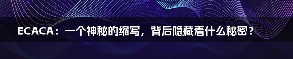 ECACA：一个神秘的缩写，背后隐藏着什么秘密？