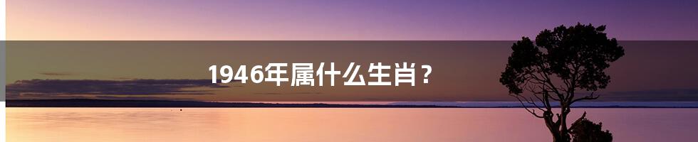 1946年属什么生肖?