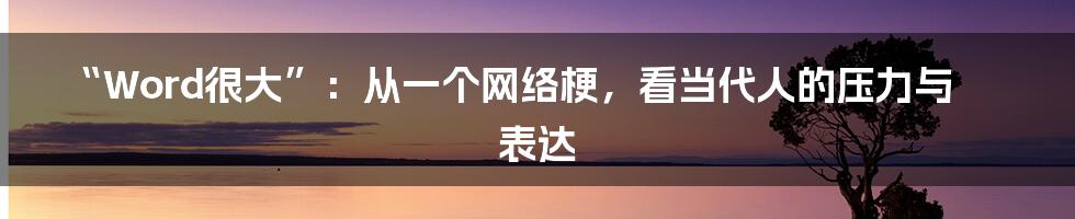 “Word很大”：从一个网络梗，看当代人的压力与表达