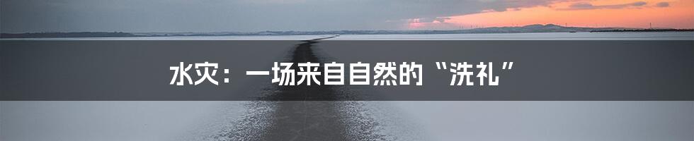 水灾:一场来自自然的“洗礼”