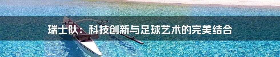 瑞士队：科技创新与足球艺术的完美结合