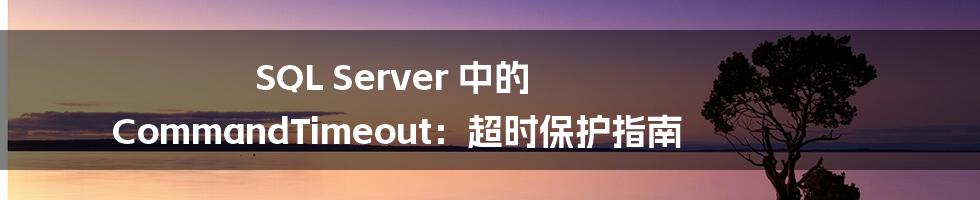 SQL Server 中的 CommandTimeout：超时保护指南
