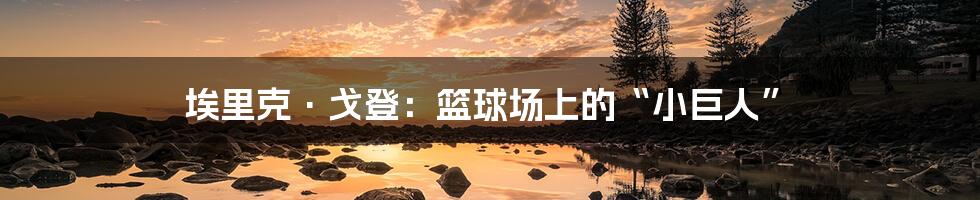 埃里克·戈登：篮球场上的“小巨人”
