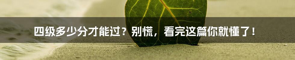 四级多少分才能过?别慌,看完这篇你就懂了!