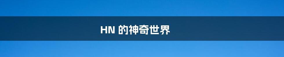 HN 的神奇世界
