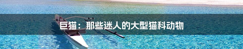 巨猫:那些迷人的大型猫科动物