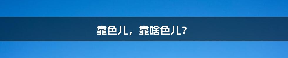 靠色儿,靠啥色儿?