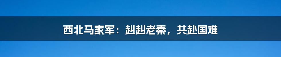 西北马家军:赳赳老秦,共赴国难
