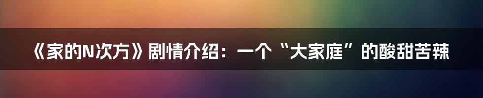 《家的N次方》剧情介绍:一个“大家庭”的酸甜苦辣