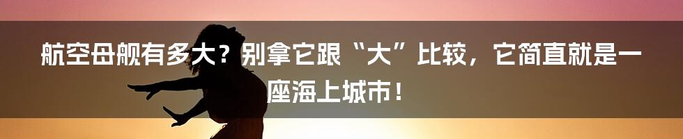 航空母舰有多大?别拿它跟“大”比较,它简直就是一座海上城市!