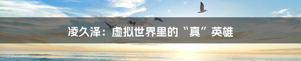 凌久泽：虚拟世界里的“真”英雄
