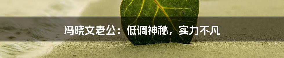 冯晓文老公:低调神秘,实力不凡