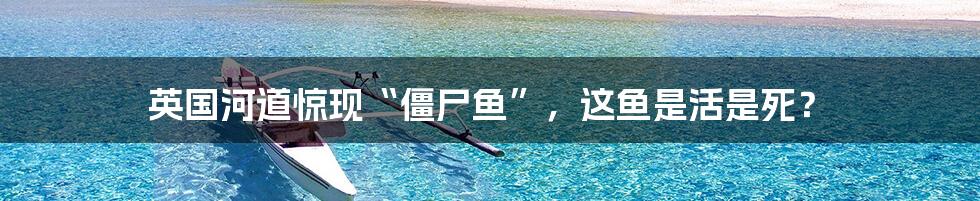 英国河道惊现“僵尸鱼”,这鱼是活是死?