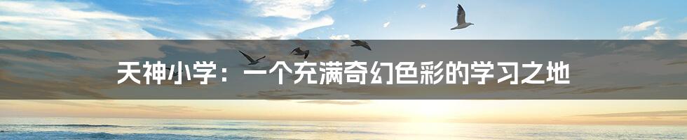 天神小学:一个充满奇幻色彩的学习之地