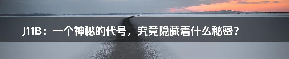 J11B:一个神秘的代号,究竟隐藏着什么秘密?