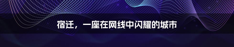 宿迁,一座在网线中闪耀的城市